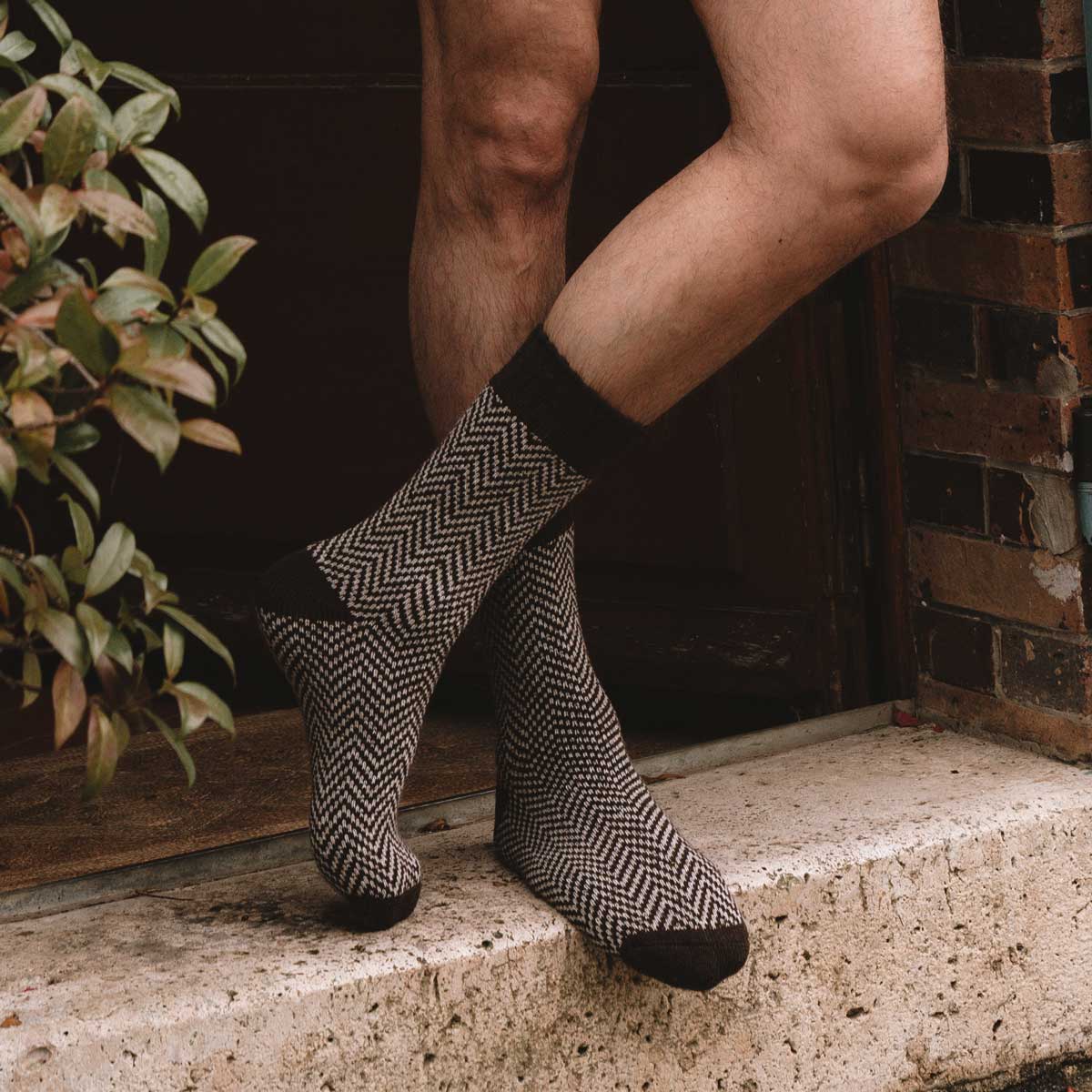 Magnus Cotton Socks for Men & Women