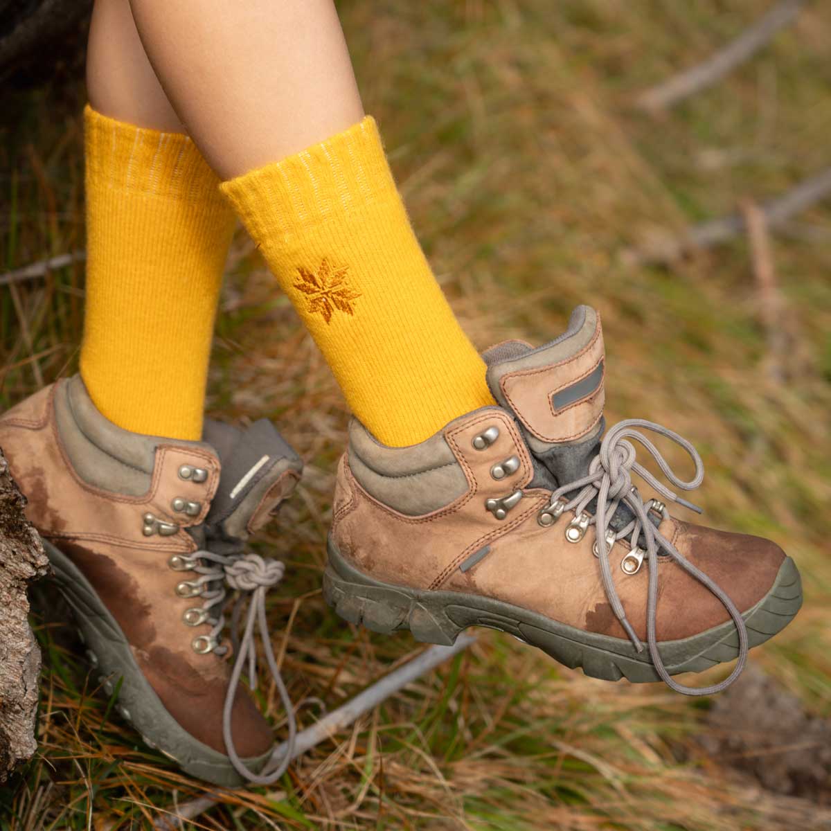 Elements (3 pairs) - Cotton Socks for Men & Women